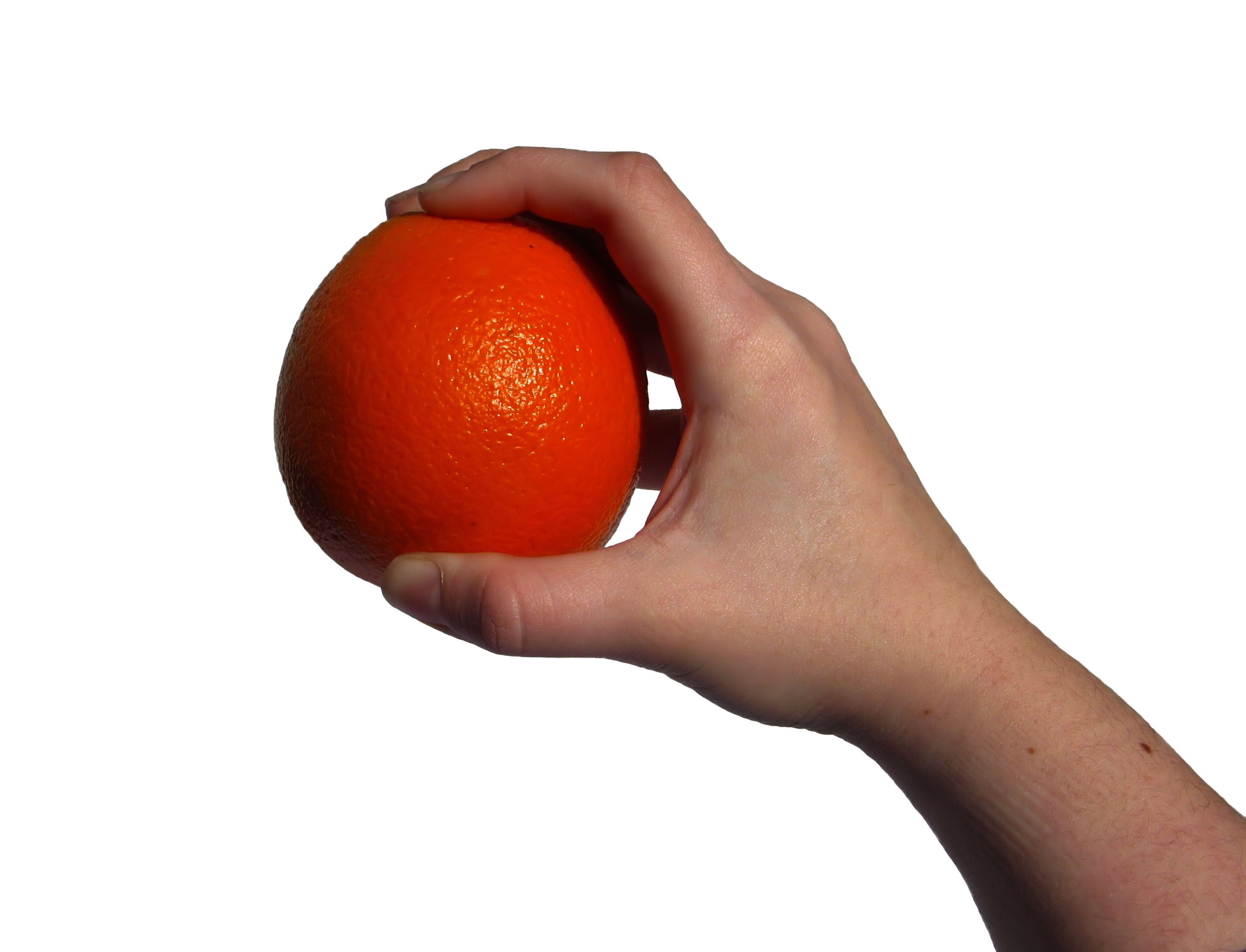 hand holding an orange