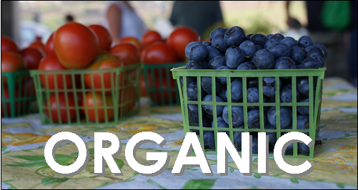 baskets of blueberries and tomatoes