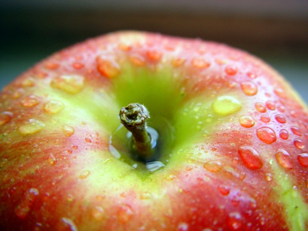 wet apple