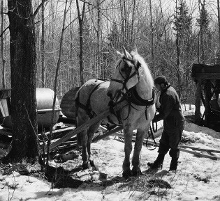 man with horse and slay